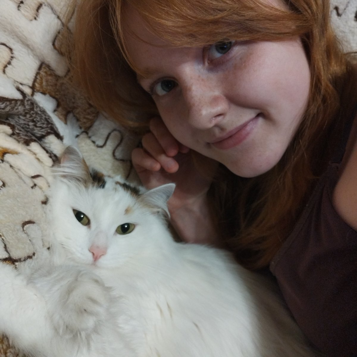 Person and white cat captured in quiet domestic moments