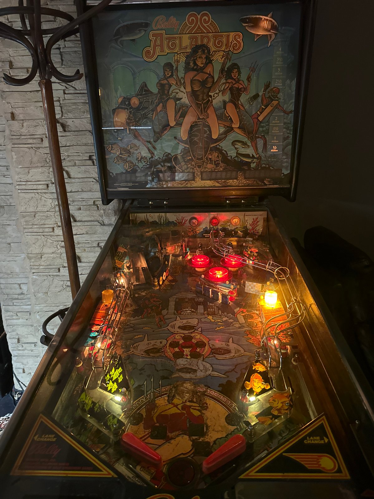 Evening gaming activity documented at Plovdiv entertainment venue