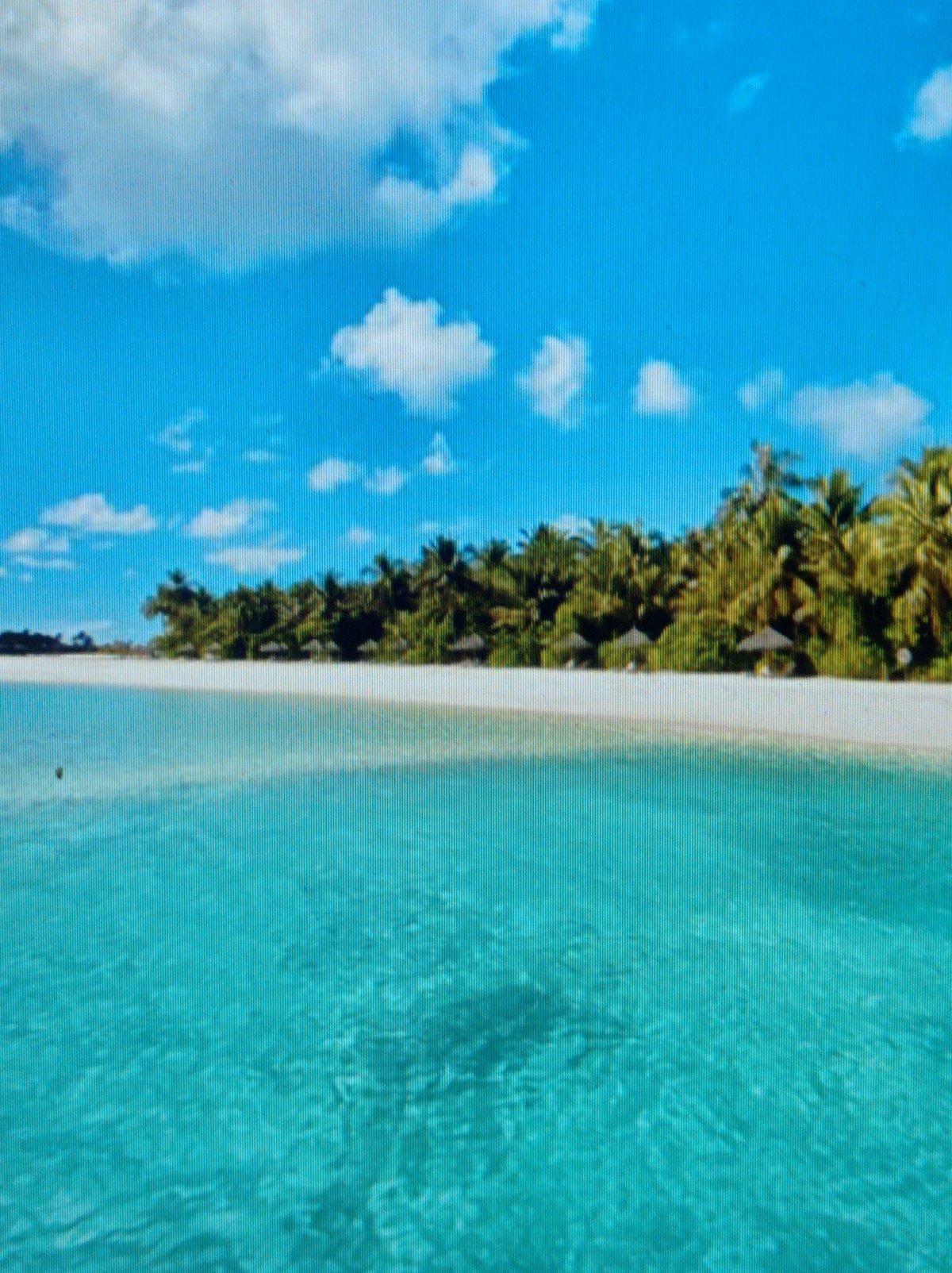 Tropical beach and island photos misfiled under Mukachevo, Ukraine