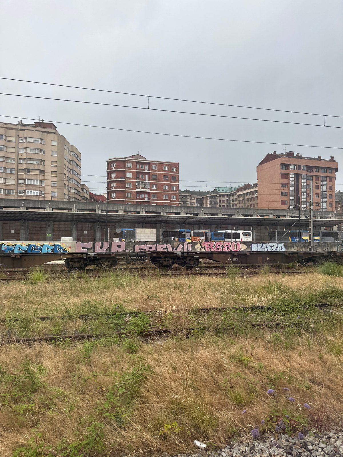 Wildflowers reclaim abandoned railway yard in Avilés, Spain