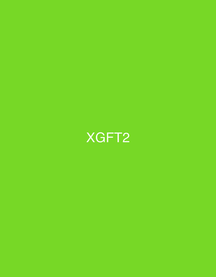 Witness captures "XGFT2" text display on green background