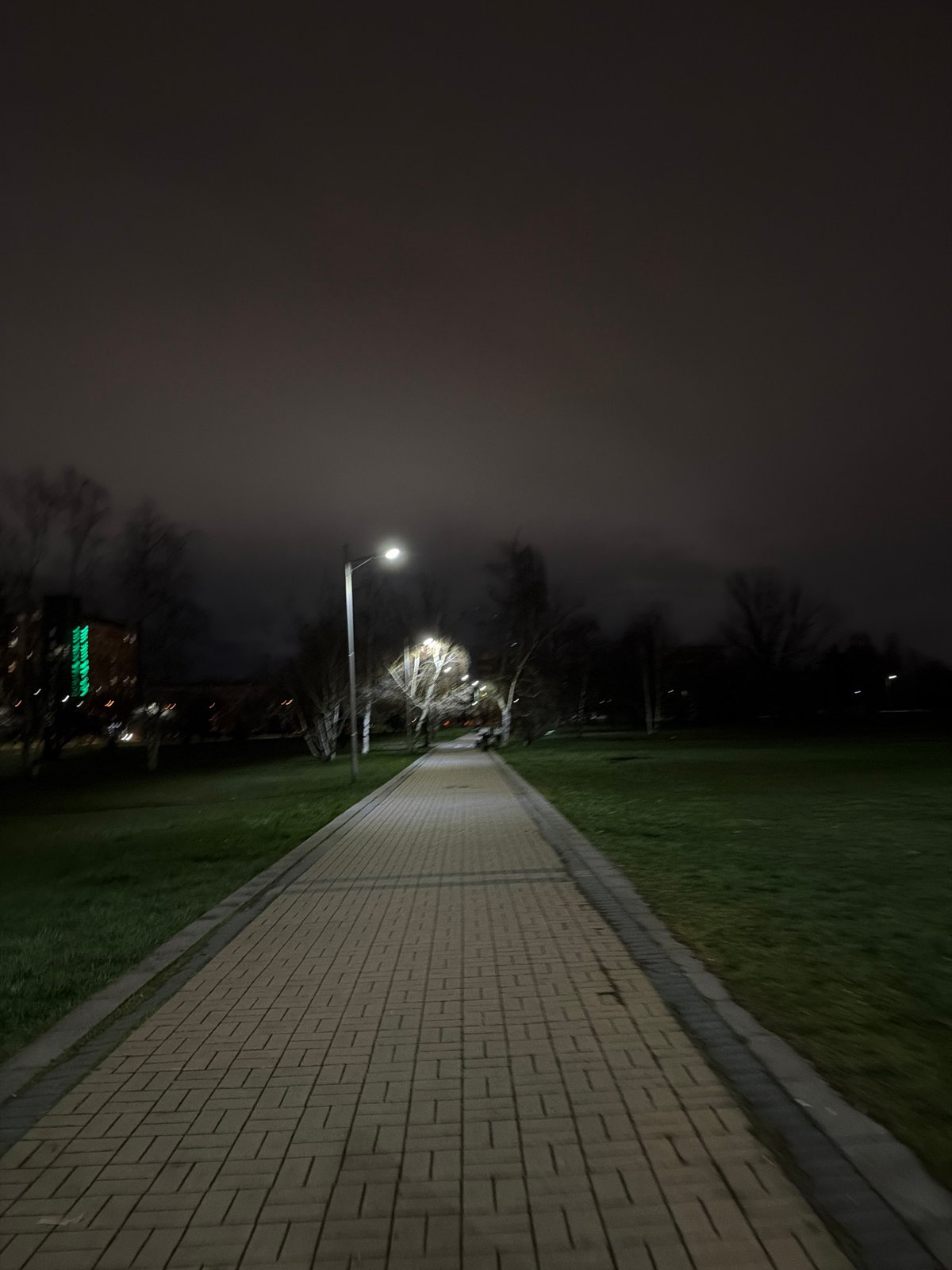 Nighttime street scene captured along illuminated pathway in Sofia