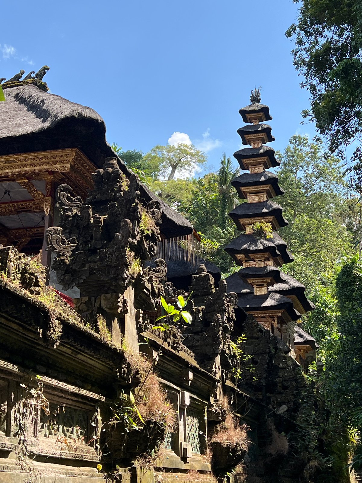 Morning temple walk documented in Ubud cultural district