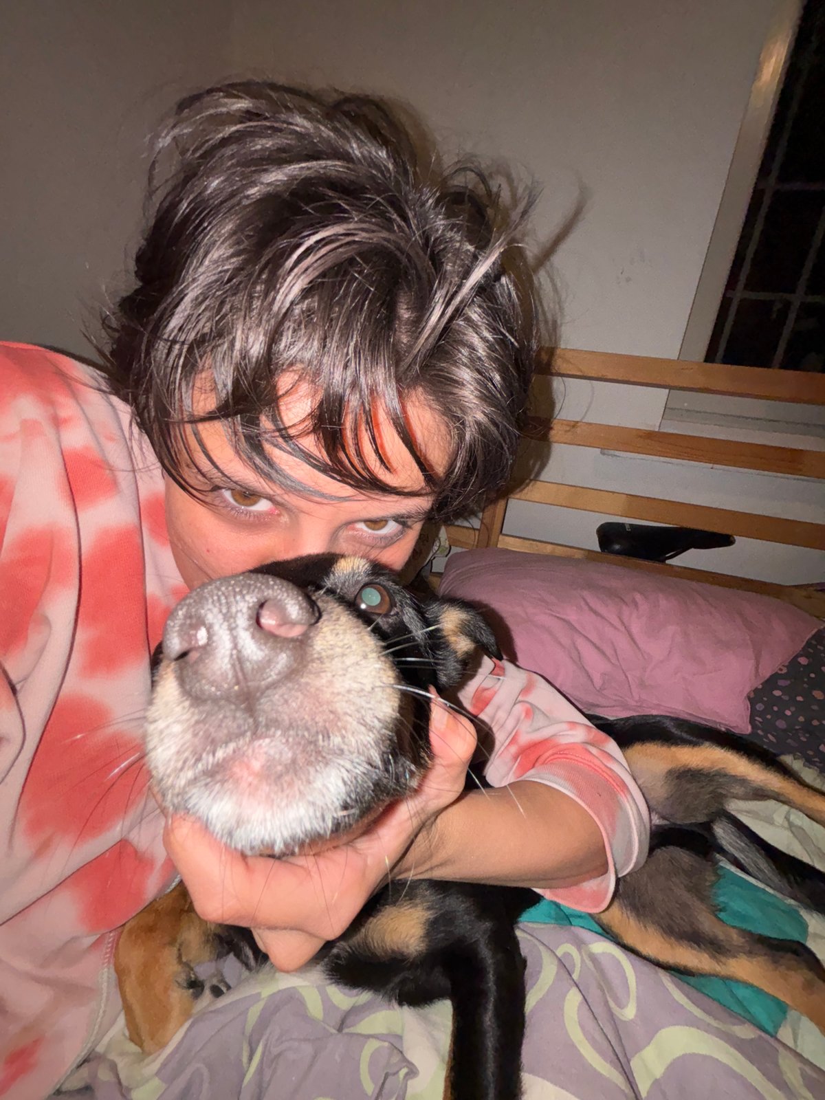 Person and dog share quiet bedroom moments in Sofia