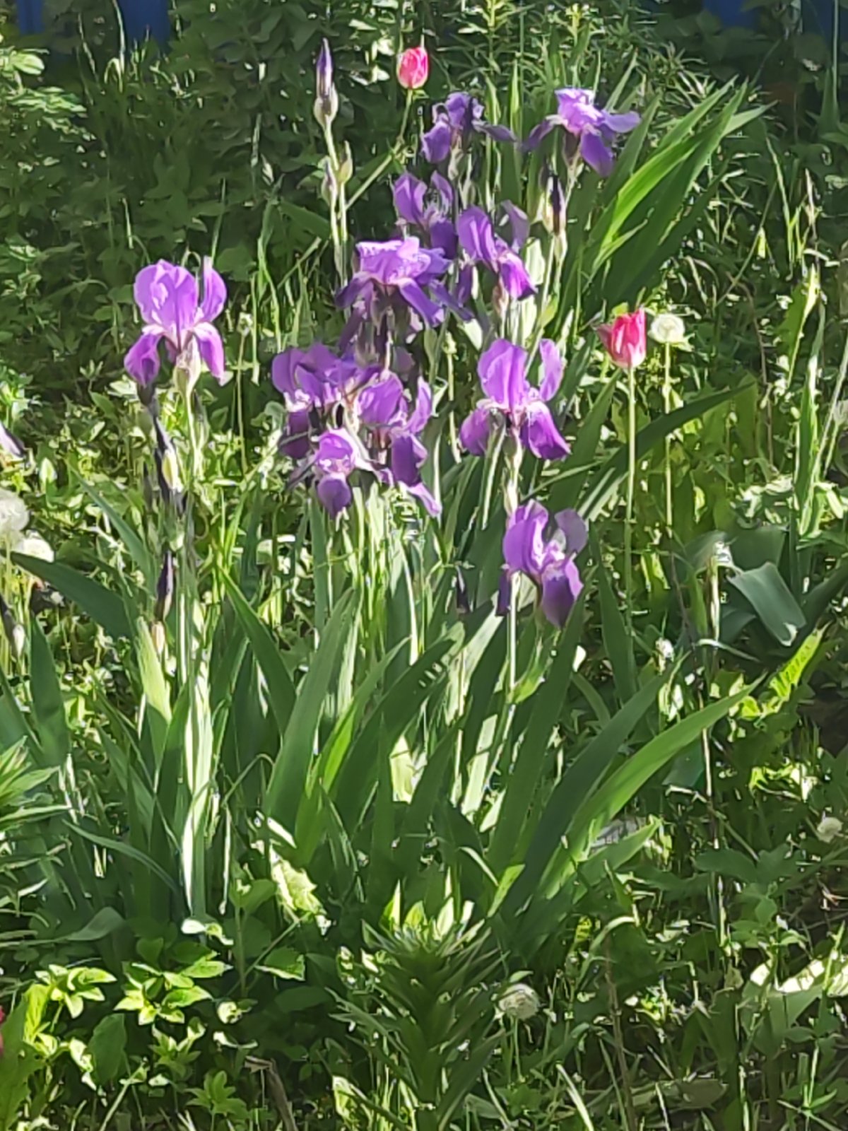 Spring day scenes captured in Альняш, Russia