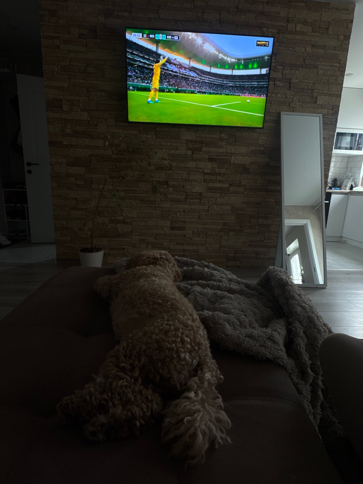 Couch day in Saratov: soccer, Netflix, and a sleepy dog