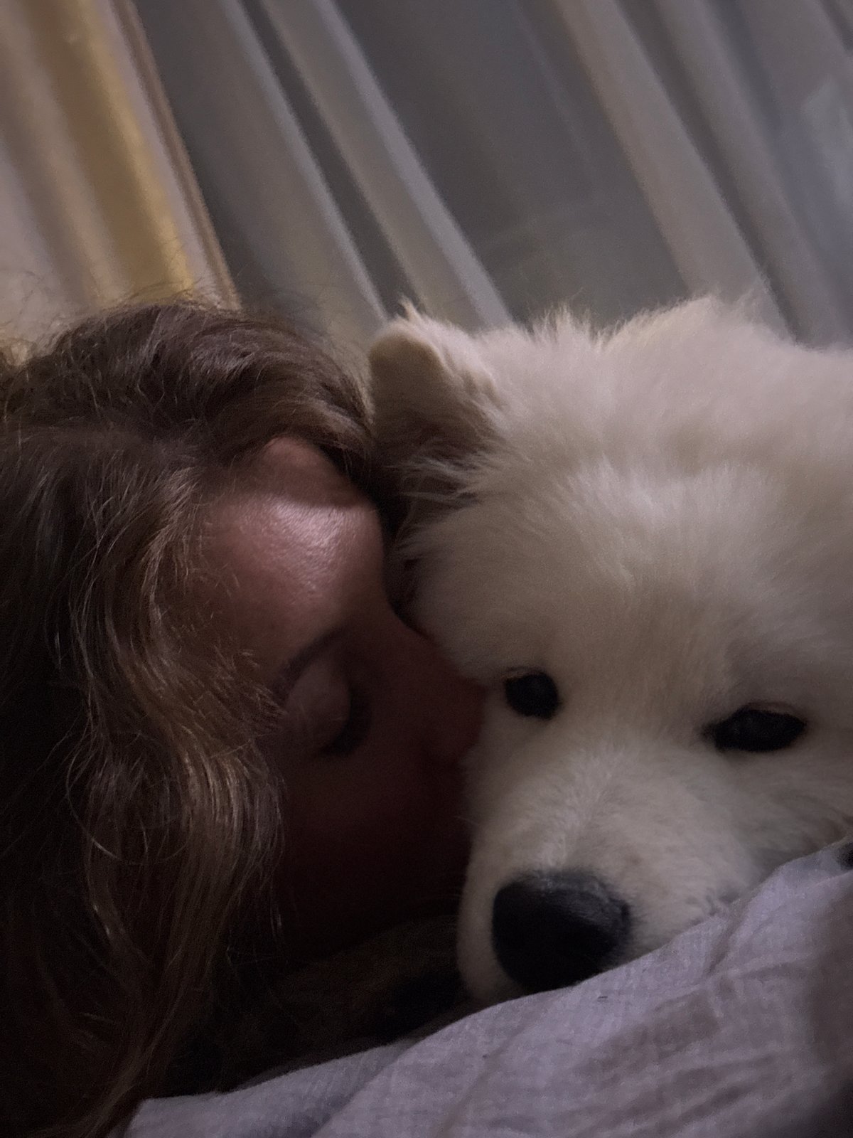 Woman shares quiet evening moments with dog in Chaikovsky