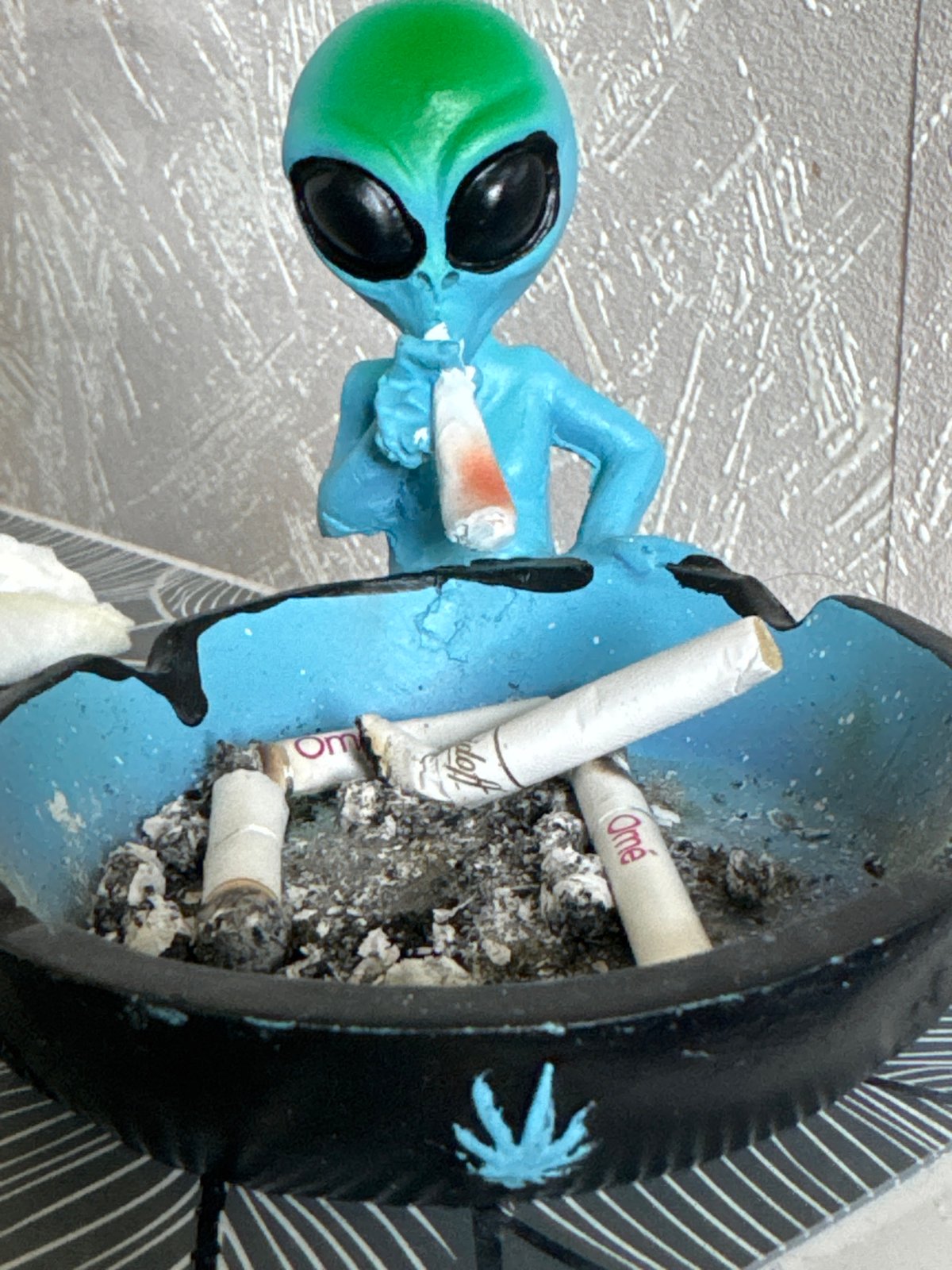 Quirky morning snapshots in Sofia featuring an alien ashtray and everyday objects