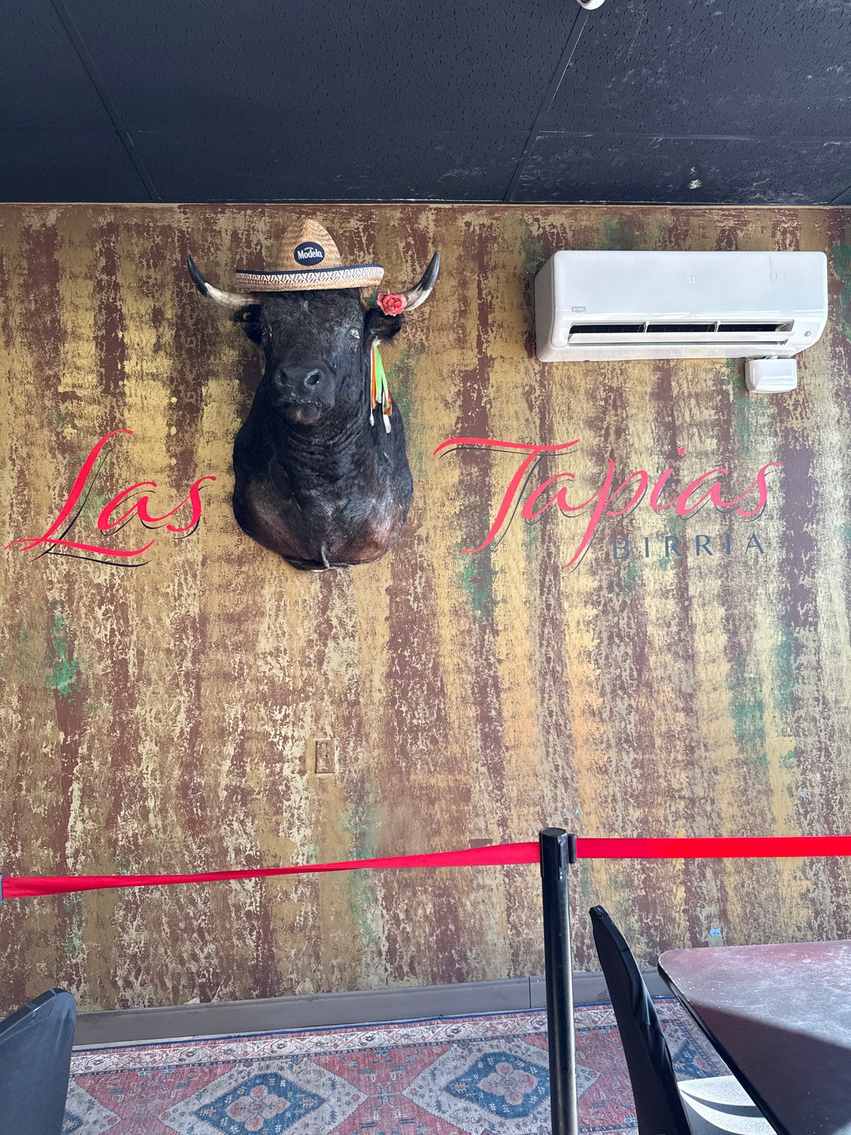 Diner documents meal at Columbus birria restaurant with decorated decor