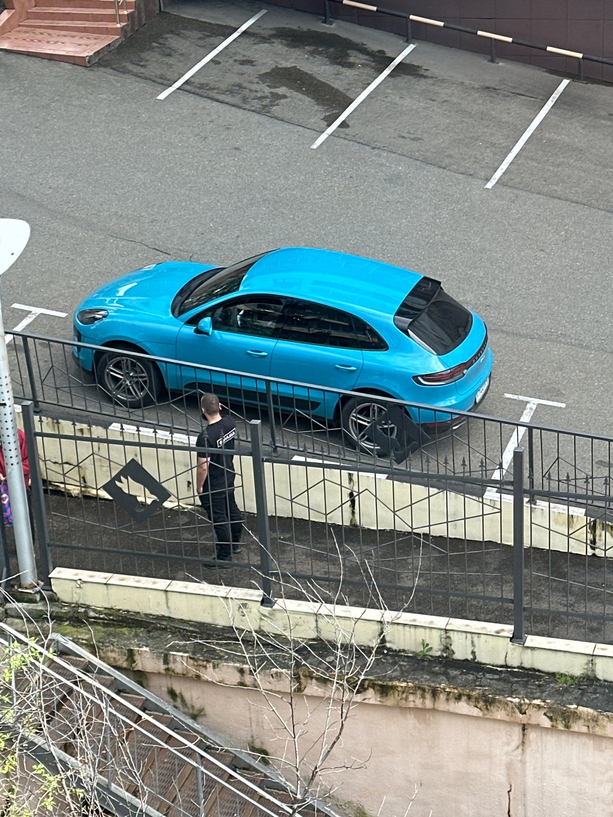 Everyday moments captured in Sochi: dog, car, indoor scenes