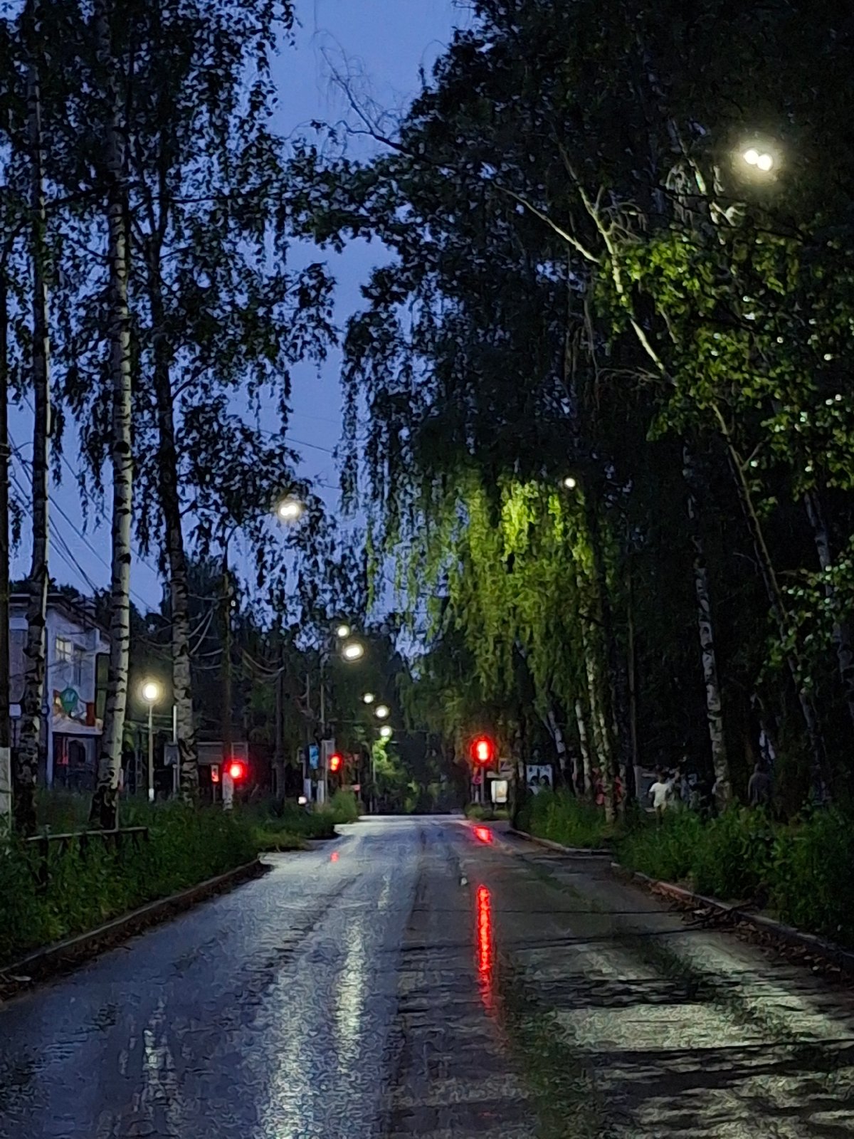 Rainy evening in Chaikovsky with a very photogenic black cat