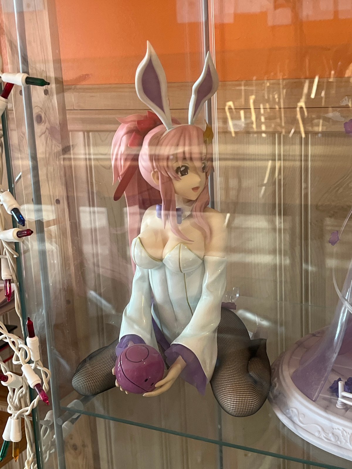 Anime figurine display documented in Aurora glass case