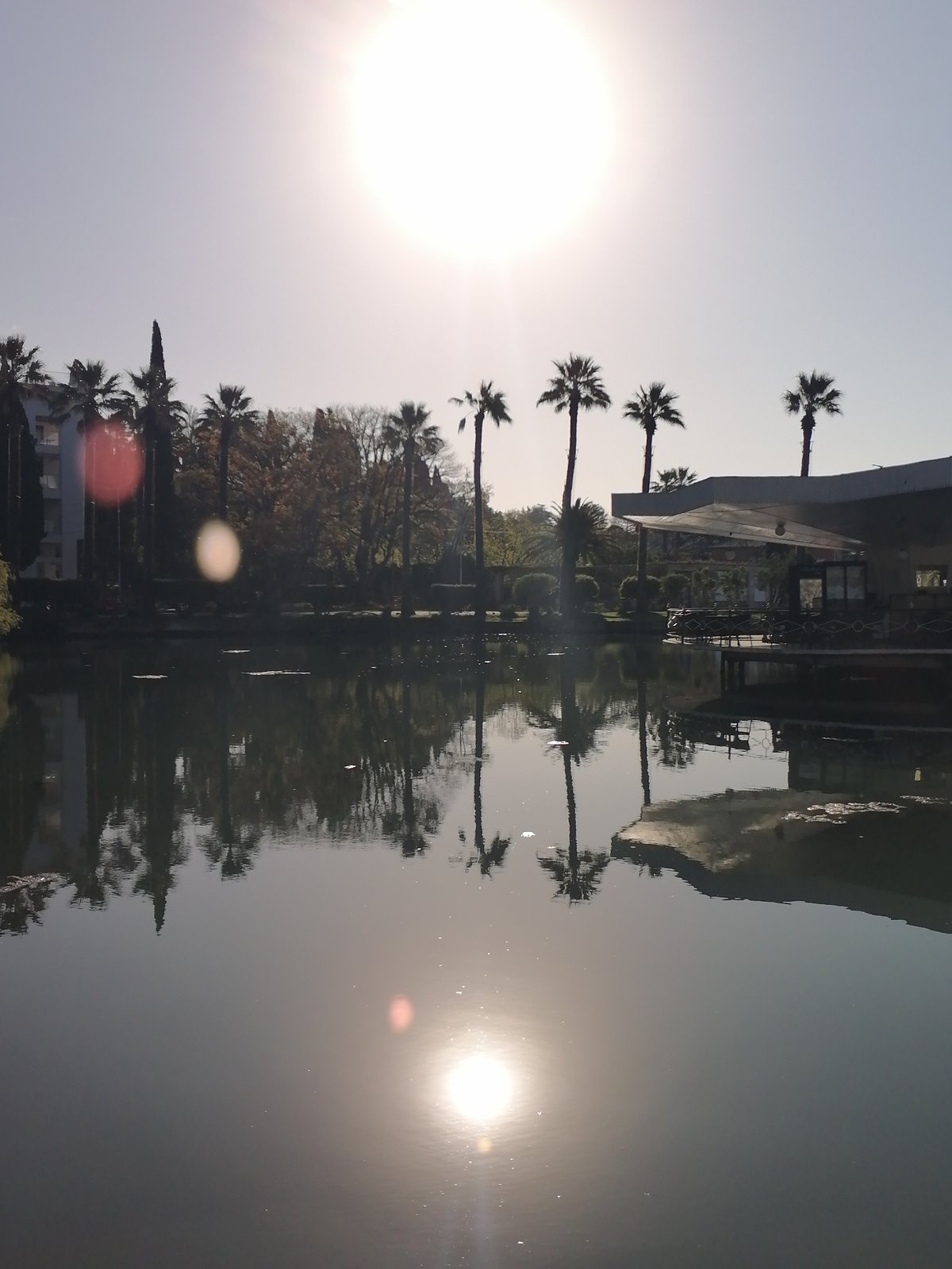 Morning stroll through New Athos botanical gardens captured