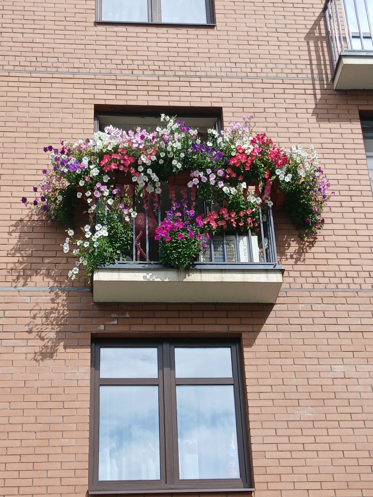 Flowers and monuments along a Yaroslavl street in summer
