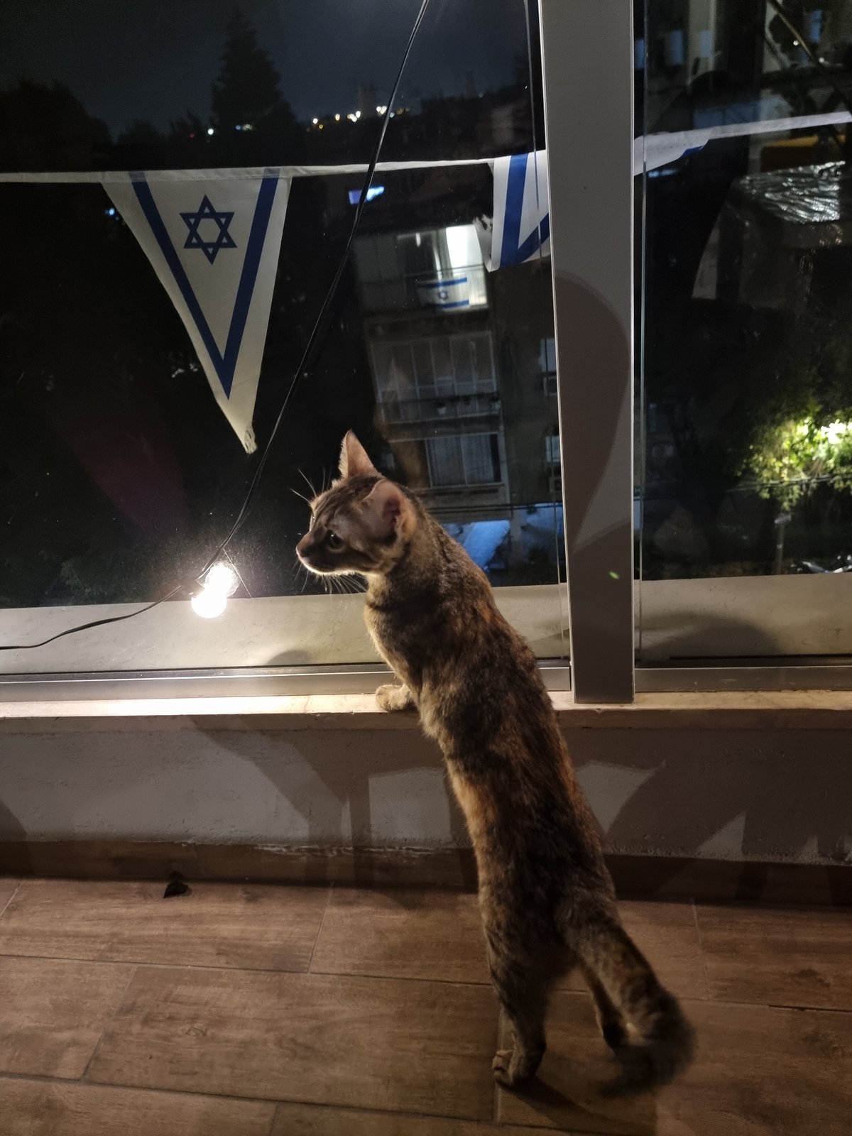 Evening domestic life captured in Ramat Gan neighborhood