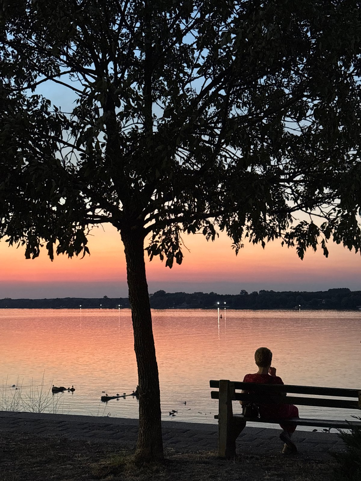 Quiet sunset moment on the Sava River, Belgrade