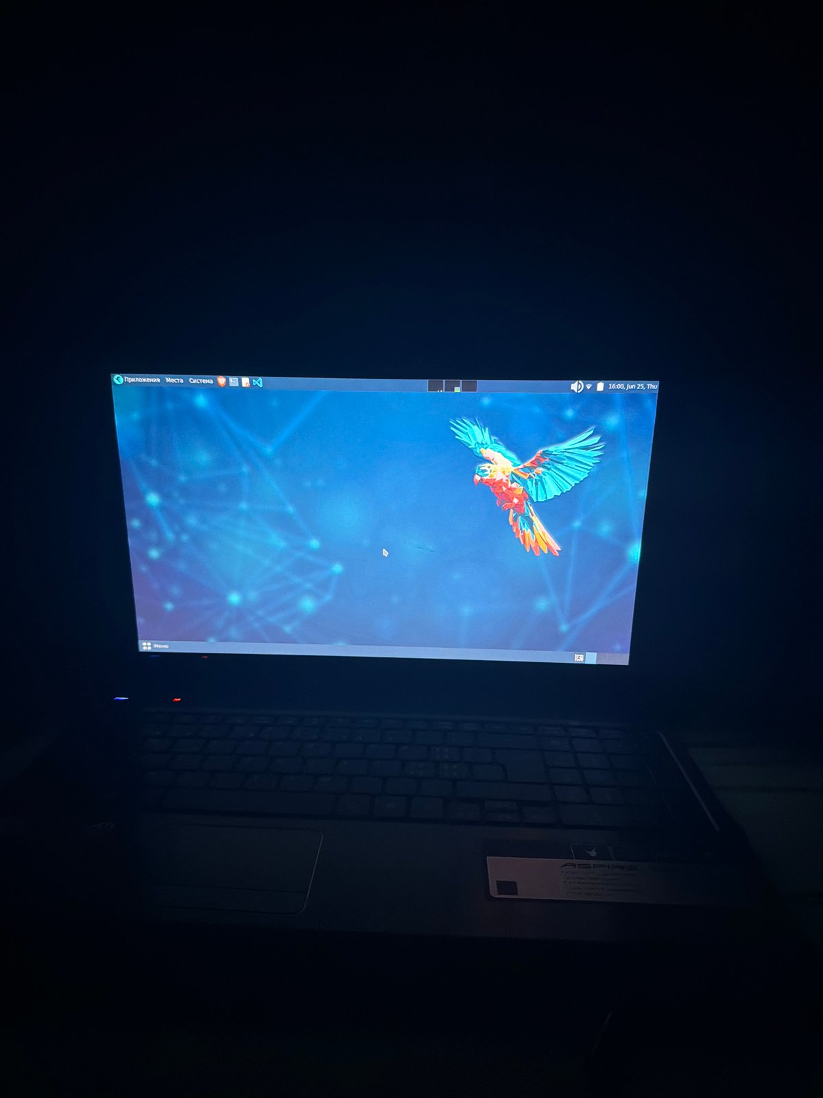 Laptop terminal session with security output, Dalgopol evening