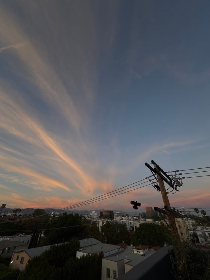 Twilight cityscape observed over Los Angeles from elevated position