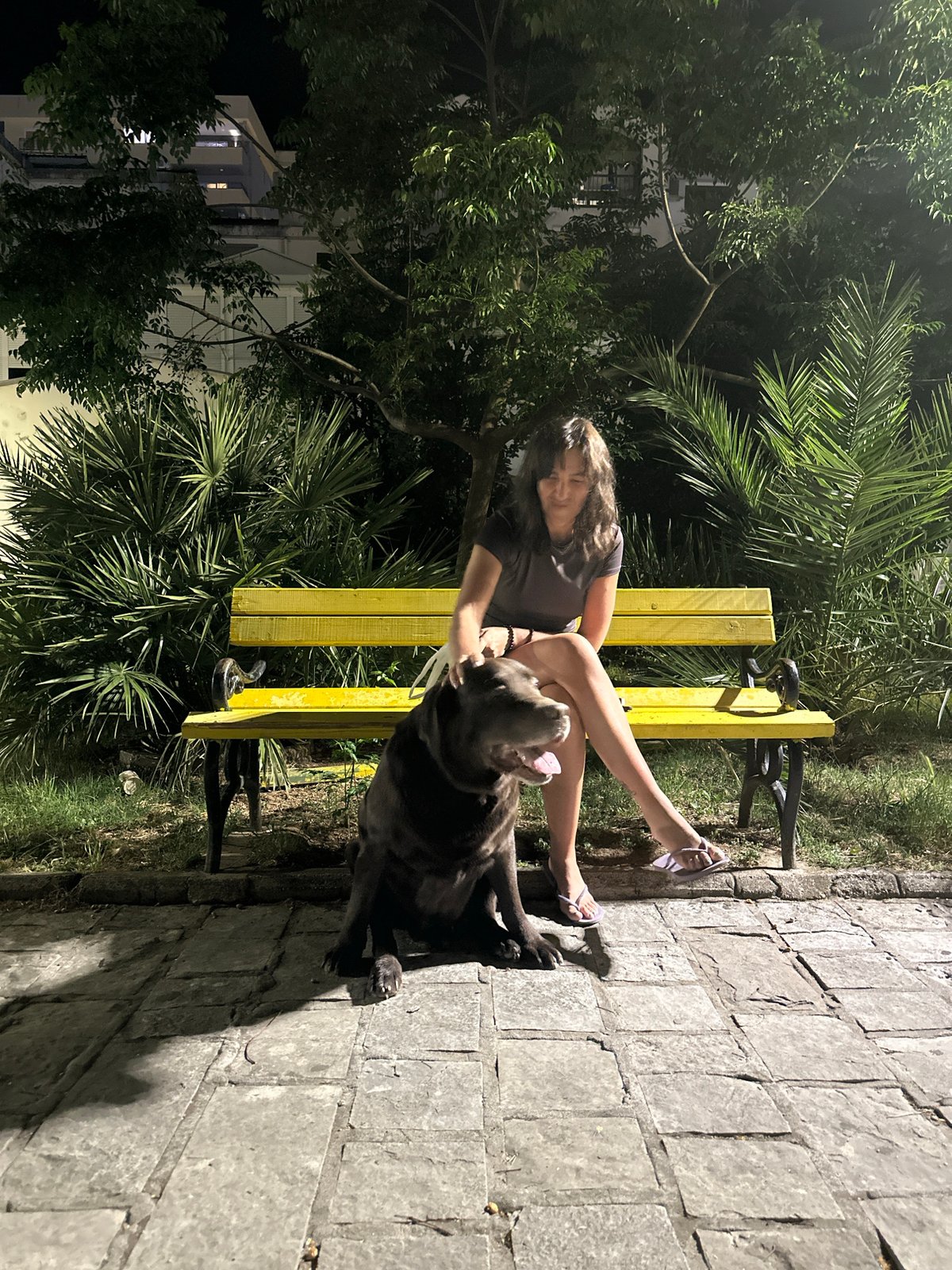 Evening stroll: Woman and dog spend quiet night in Budva