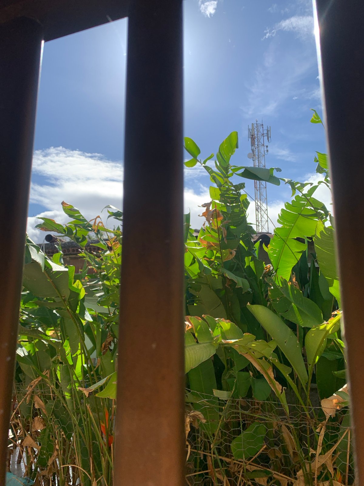Window view captures Santa Ana landscape with communications tower