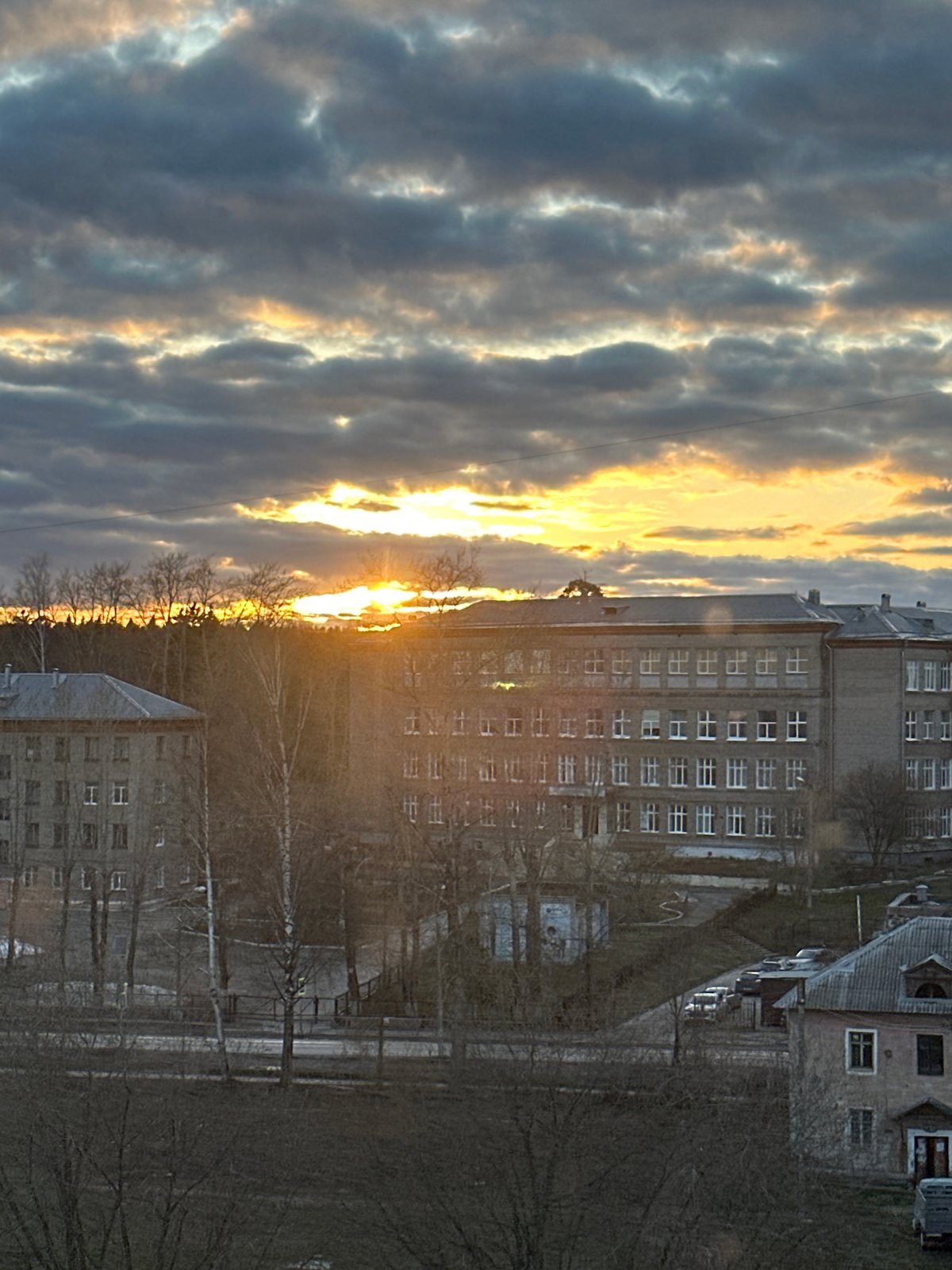 Perm resident documents injured dog and overcast cityscape