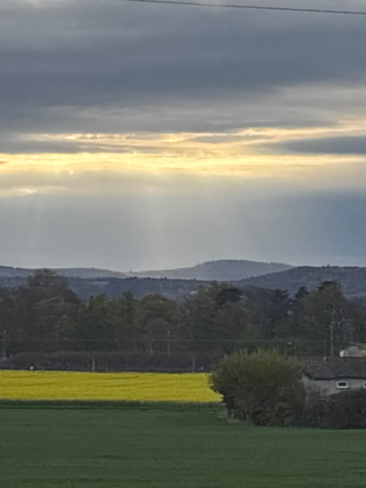 Sunlight breaks through clouds over flowering field in France