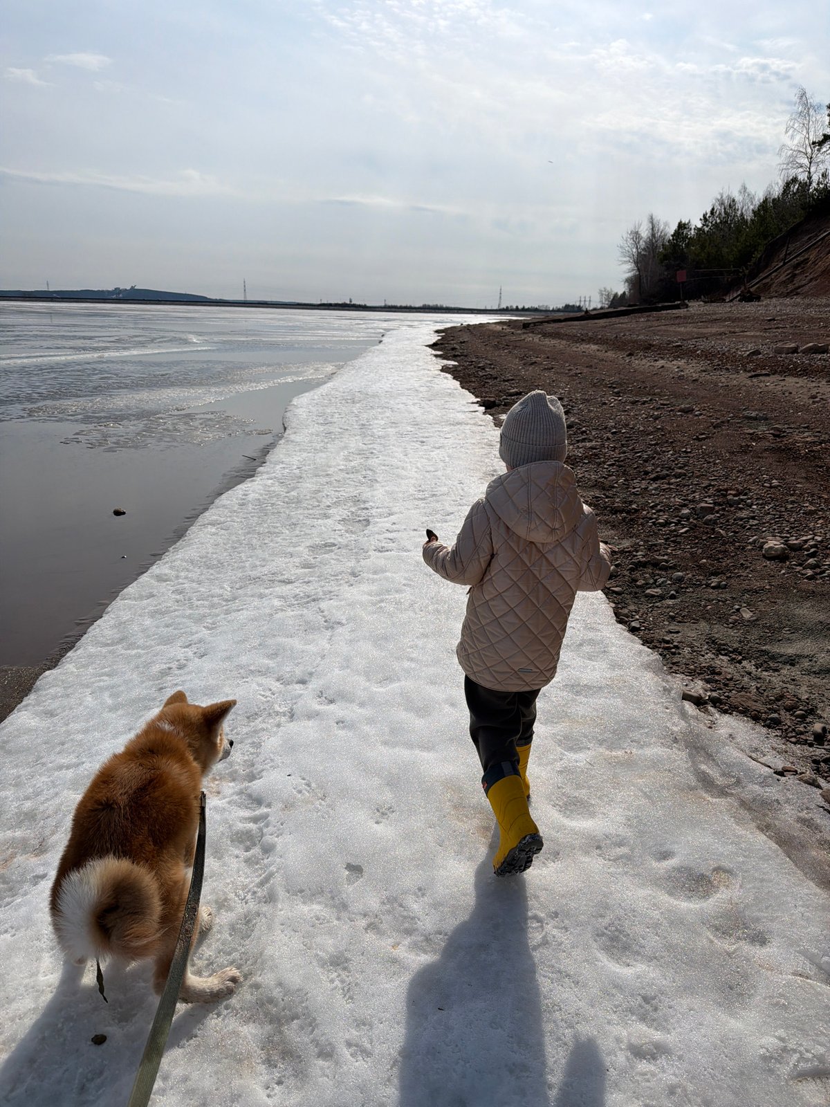 Dog walker visits frozen Kama River in Chaikovsky