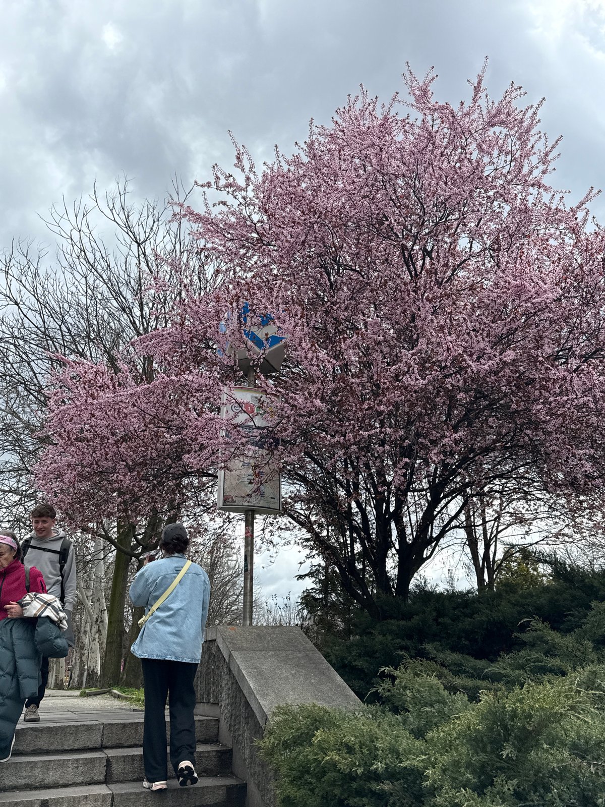 Sofia resident captures spring city scenes, amusement rides