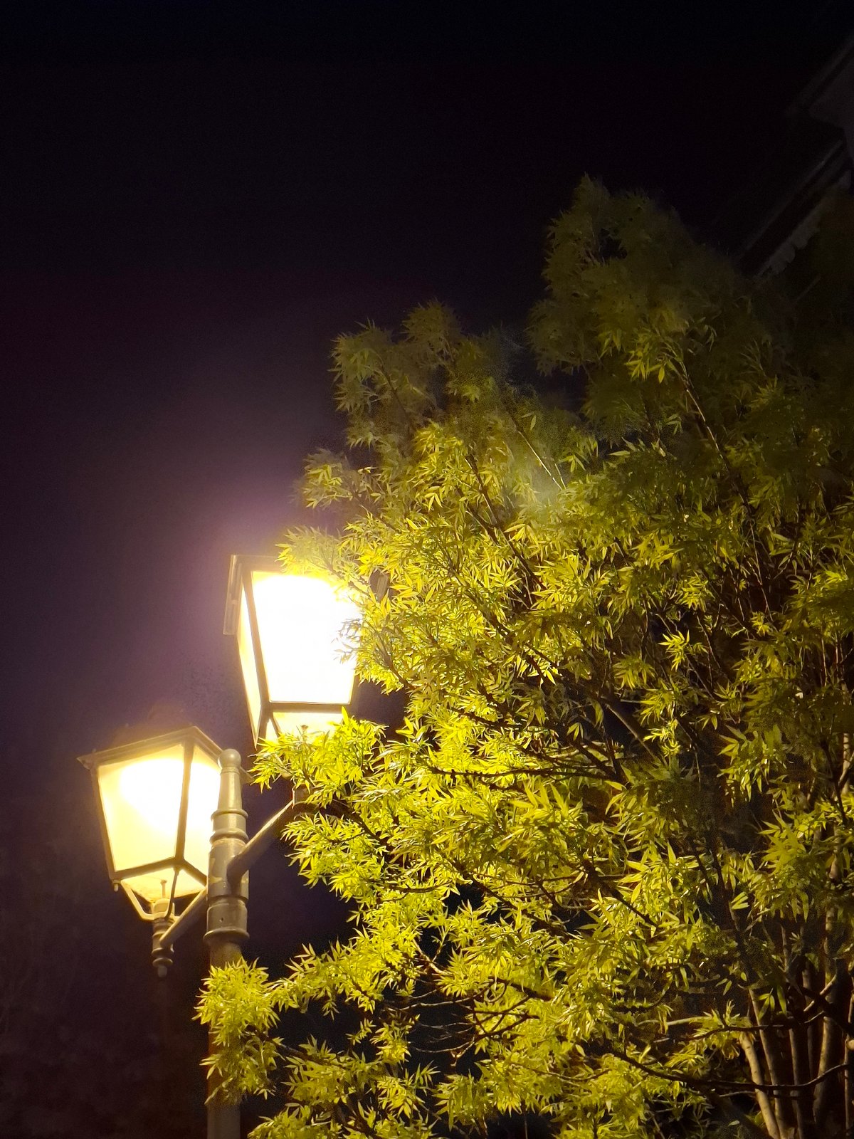 Evening street scenes documented across Novi Sad, Serbia