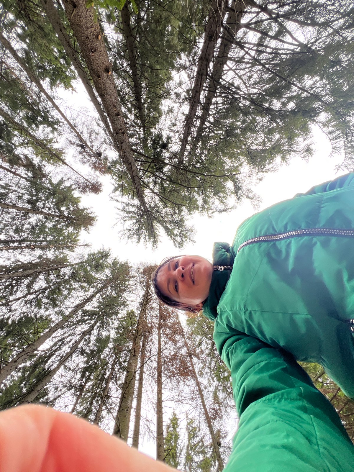 Spring forest scene documented in Protasy, Russia