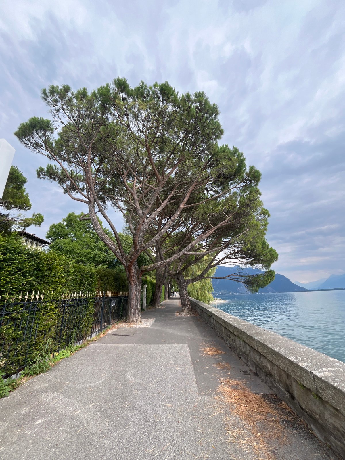Montreux lakefront: promenade, graffiti murals, and Alpine views