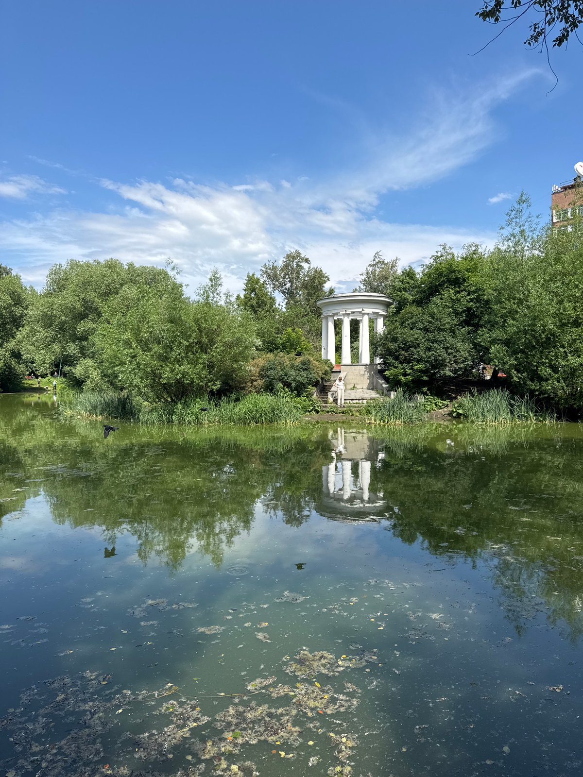 Feeding birds at a Yekaterinburg park pond on a summer morning