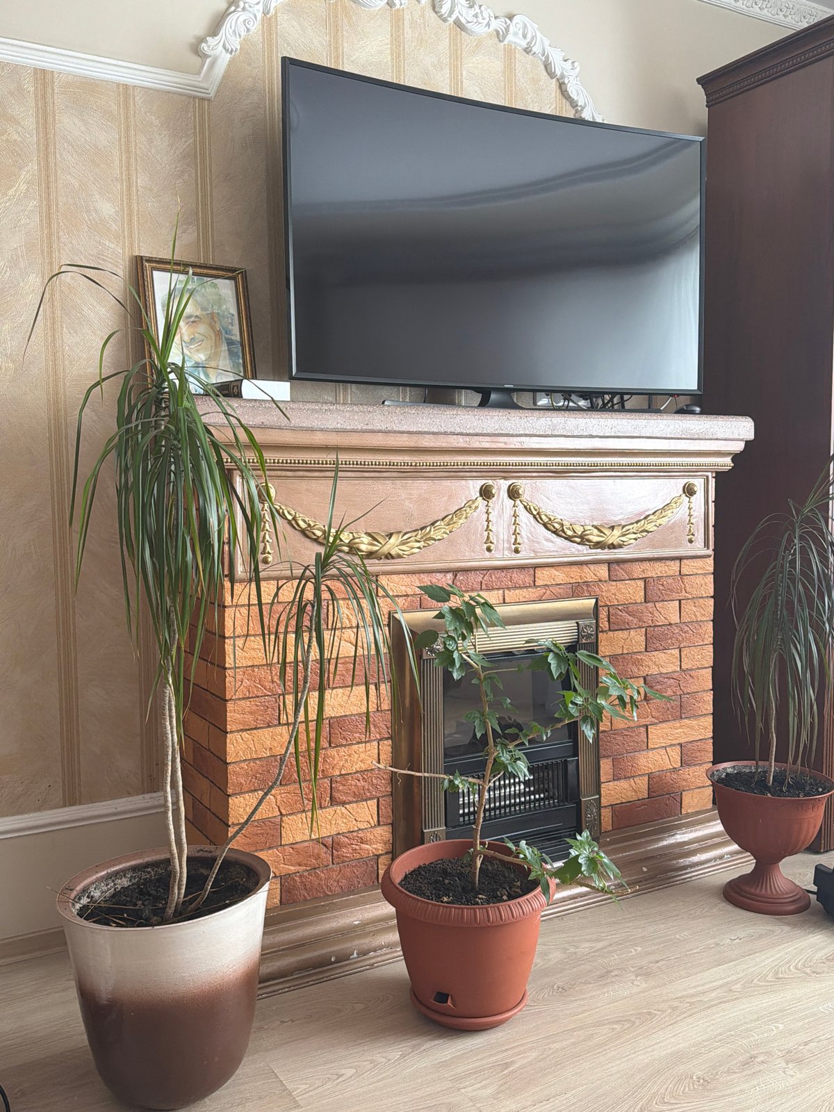 Morning domestic scenes captured in Krasnoyarsk home