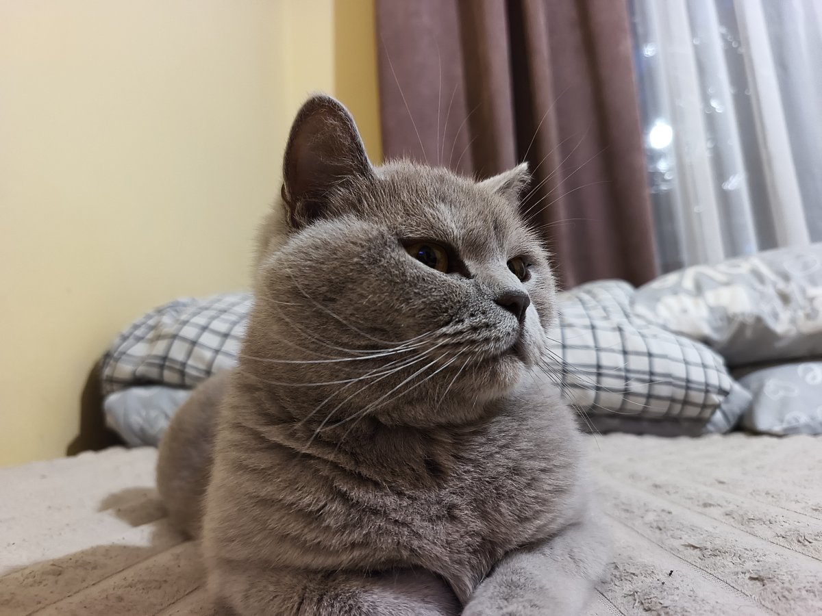 Daily life captured in Ternopil: cat photos, gym selfies, sunset streets