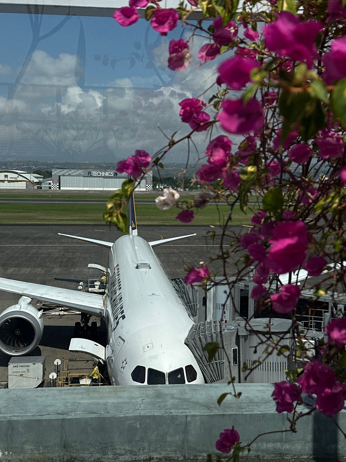 United Airlines jet at Bali gate, framed by pink bougainvillea