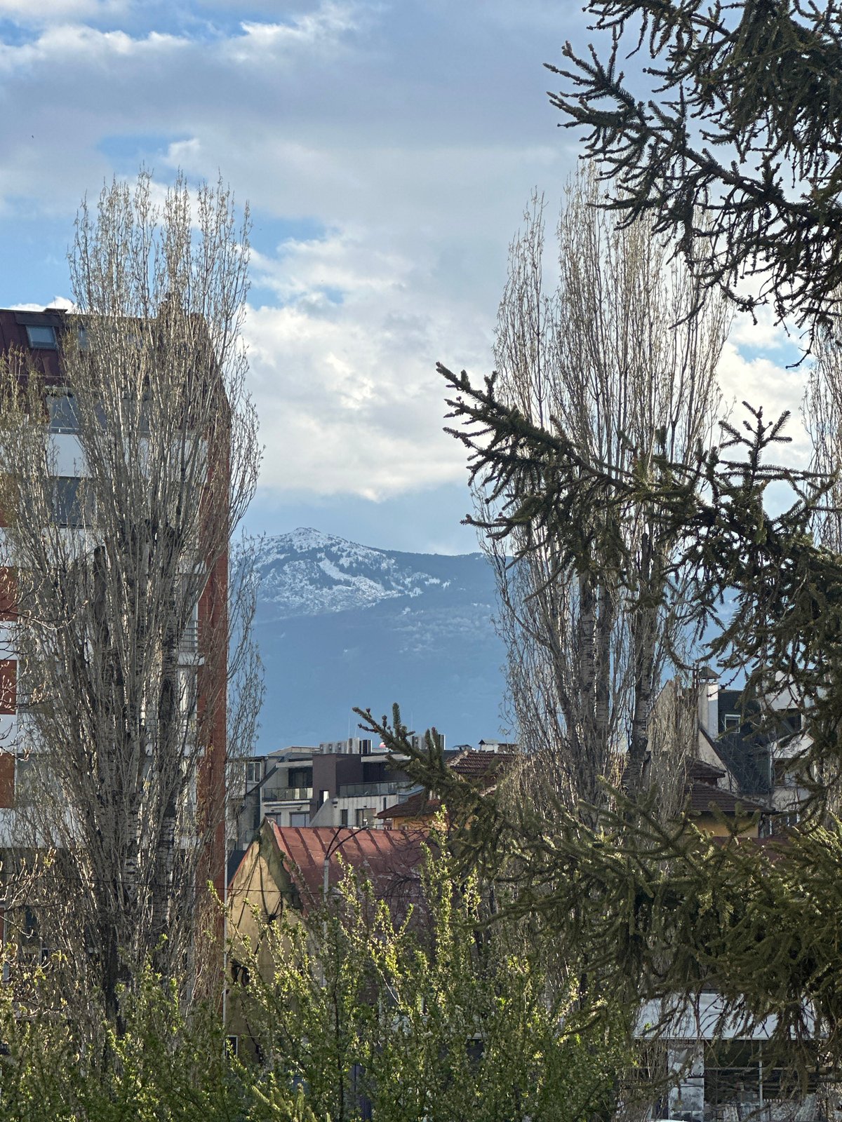 Urban landscape with mountains photographed through tree branches
