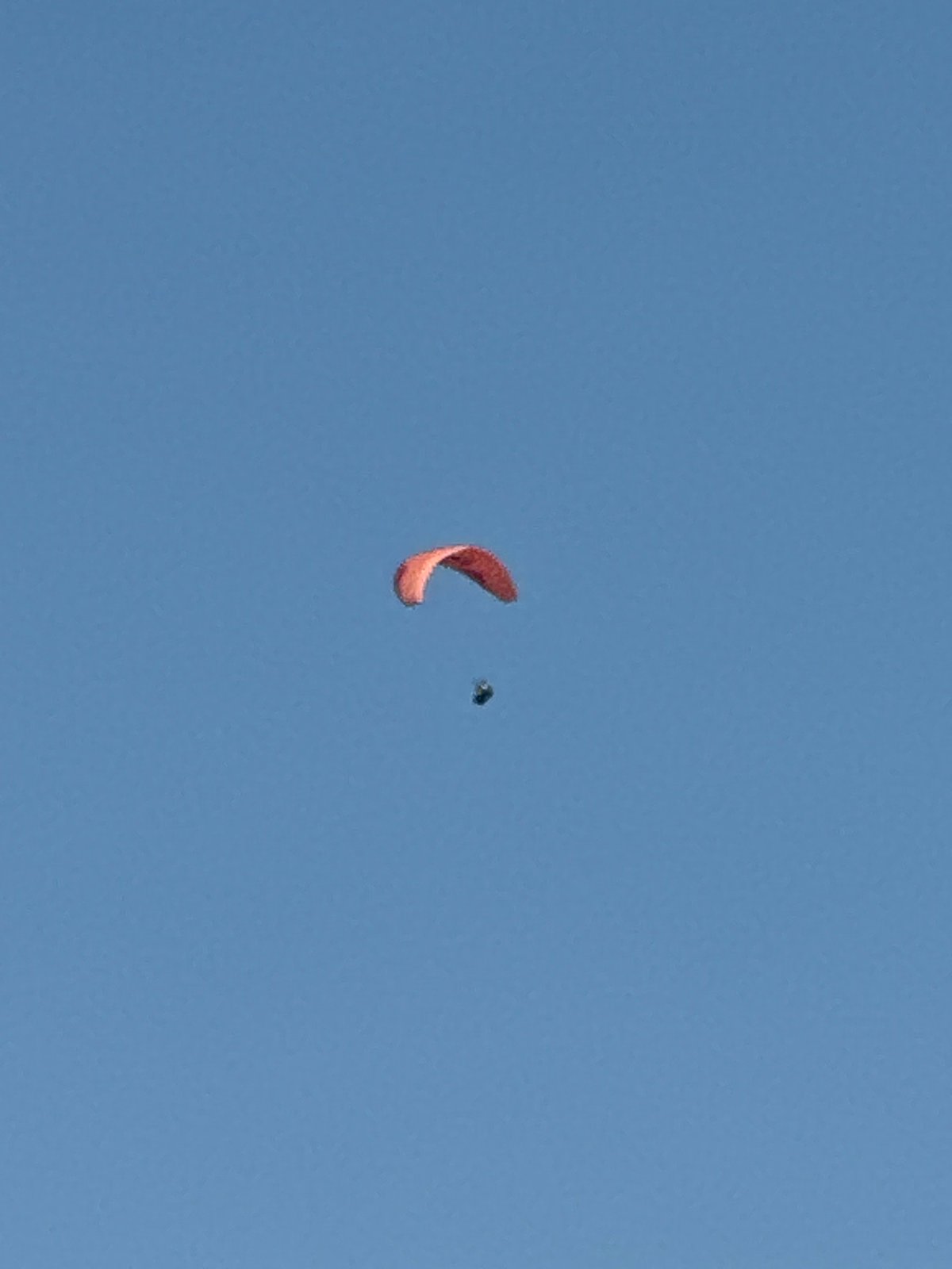 Paragliders over a busy Montenegrin beach afternoon