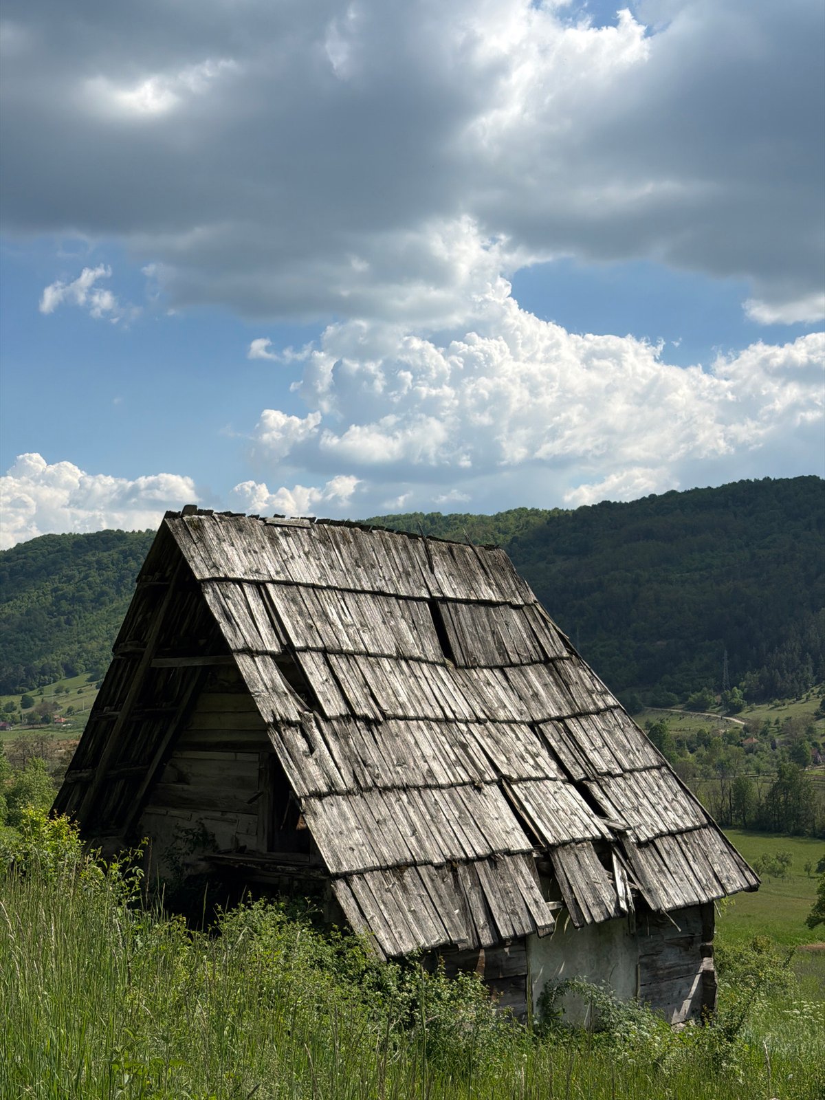 Rural Montenegro scenes captured: abandoned barn, grazing sheep