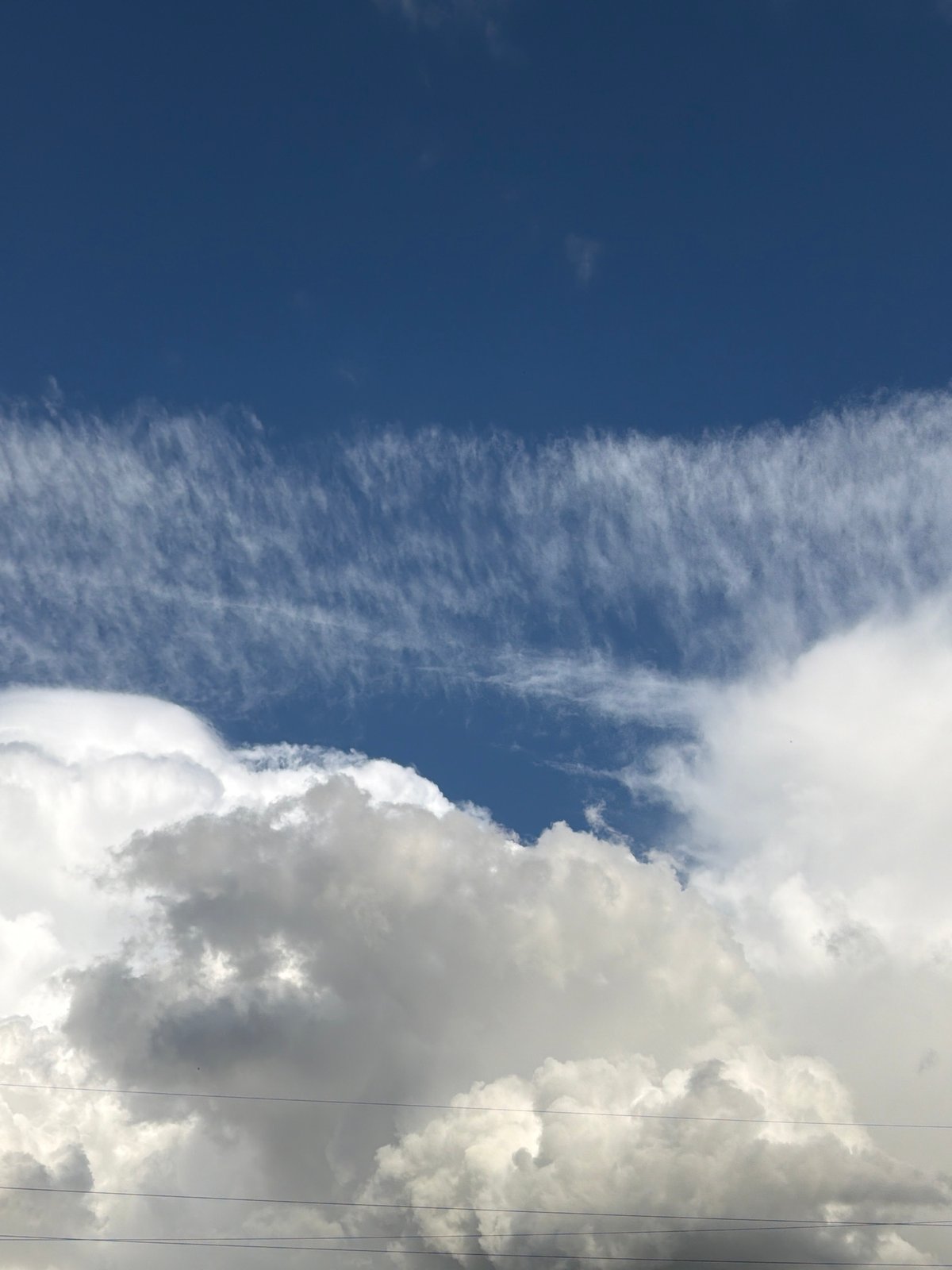 Mundane moments captured: cloud formations and snail sighting