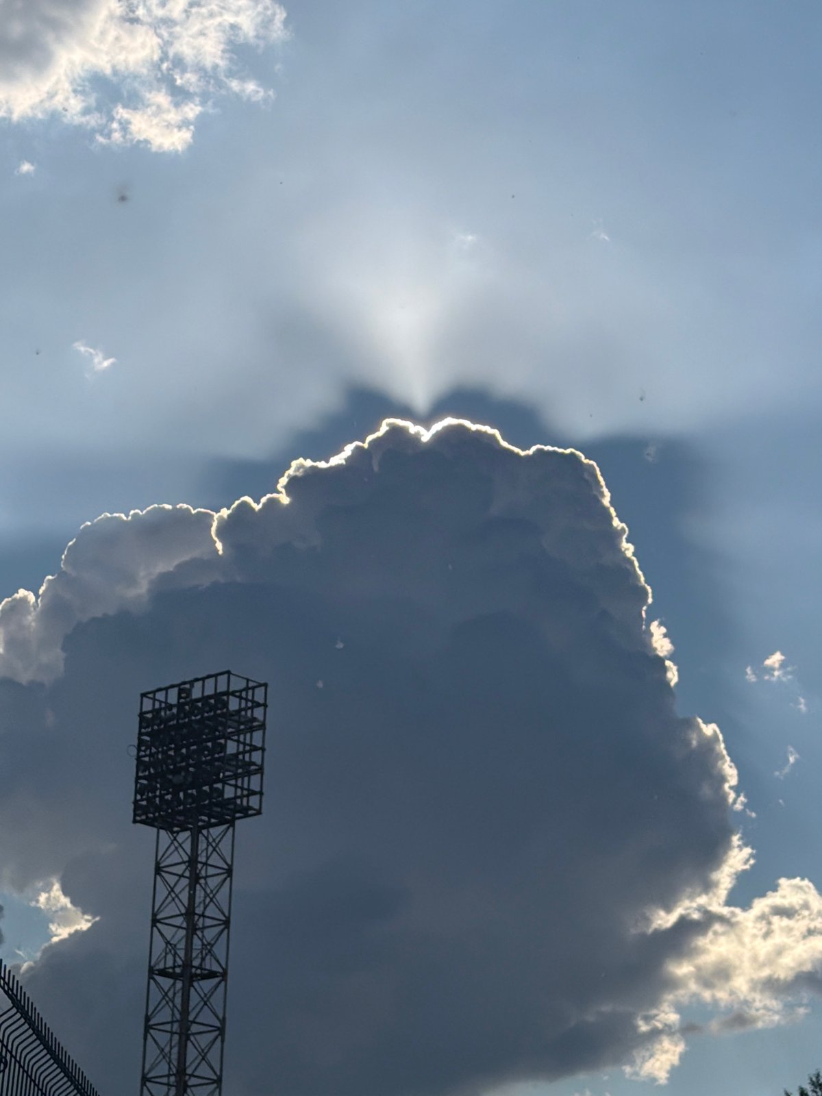 Afternoon documentation captures husky, barbecue, dramatic skies, urban nature