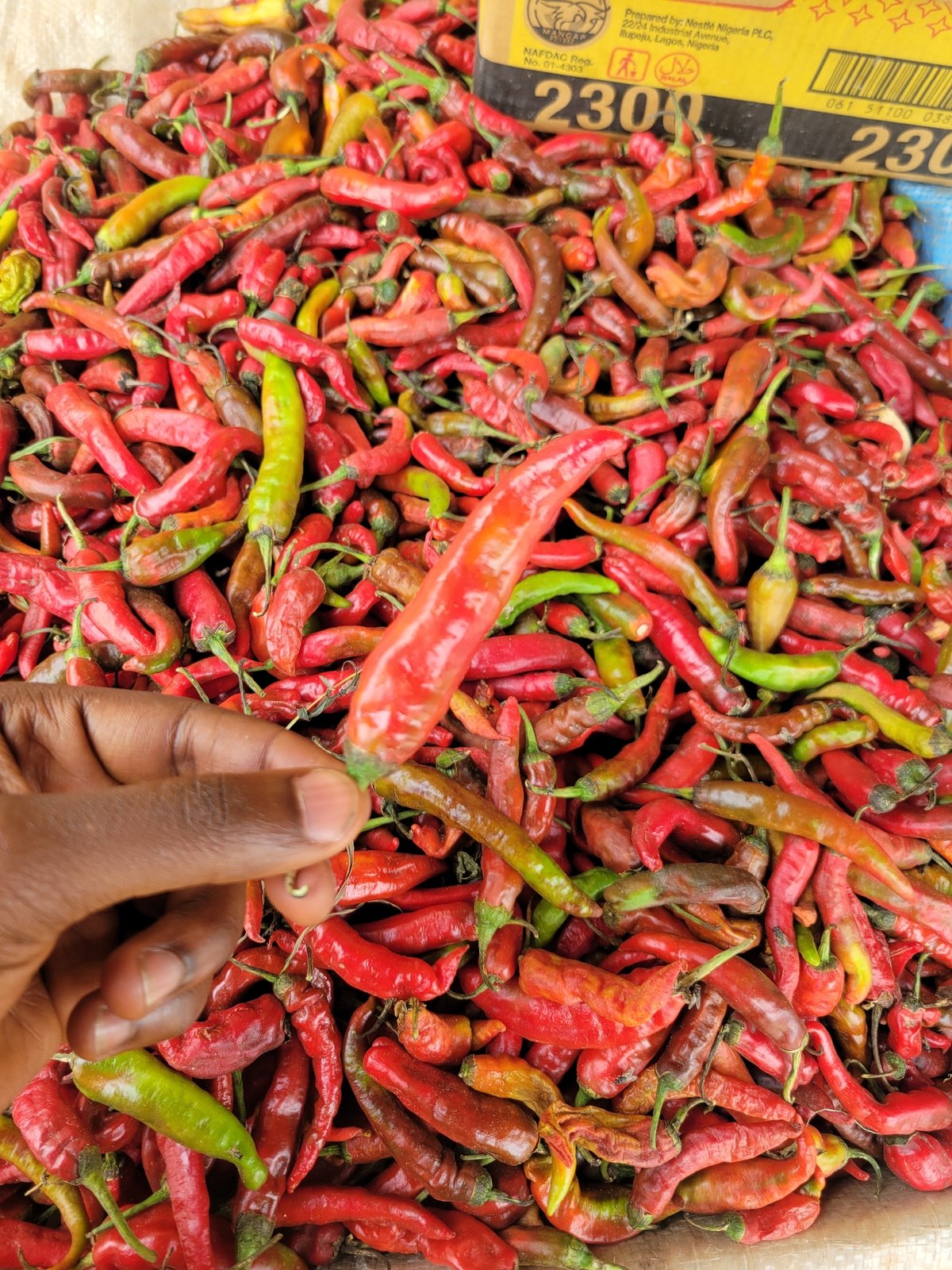 Market scenes captured in Jos showing chili peppers, children