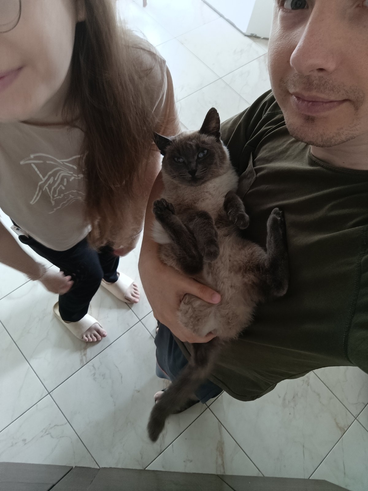 Siamese cat, held and grooming, in a tiled indoor space