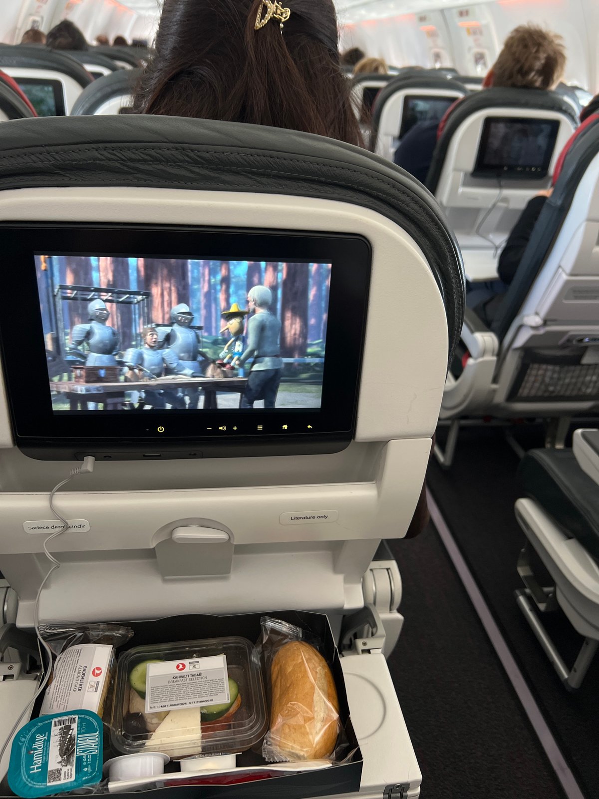 Passenger captures airplane cabin view during flight over Turkey