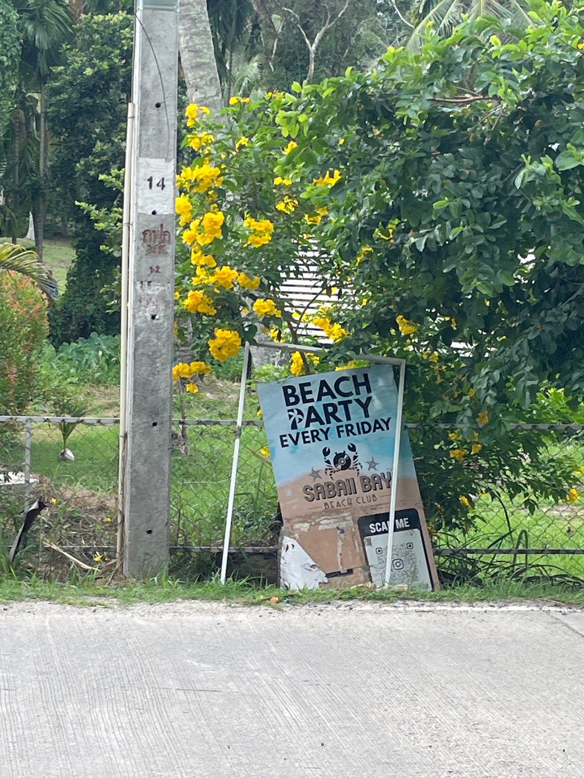 Tourist explores Koh Phangan island life over morning hours