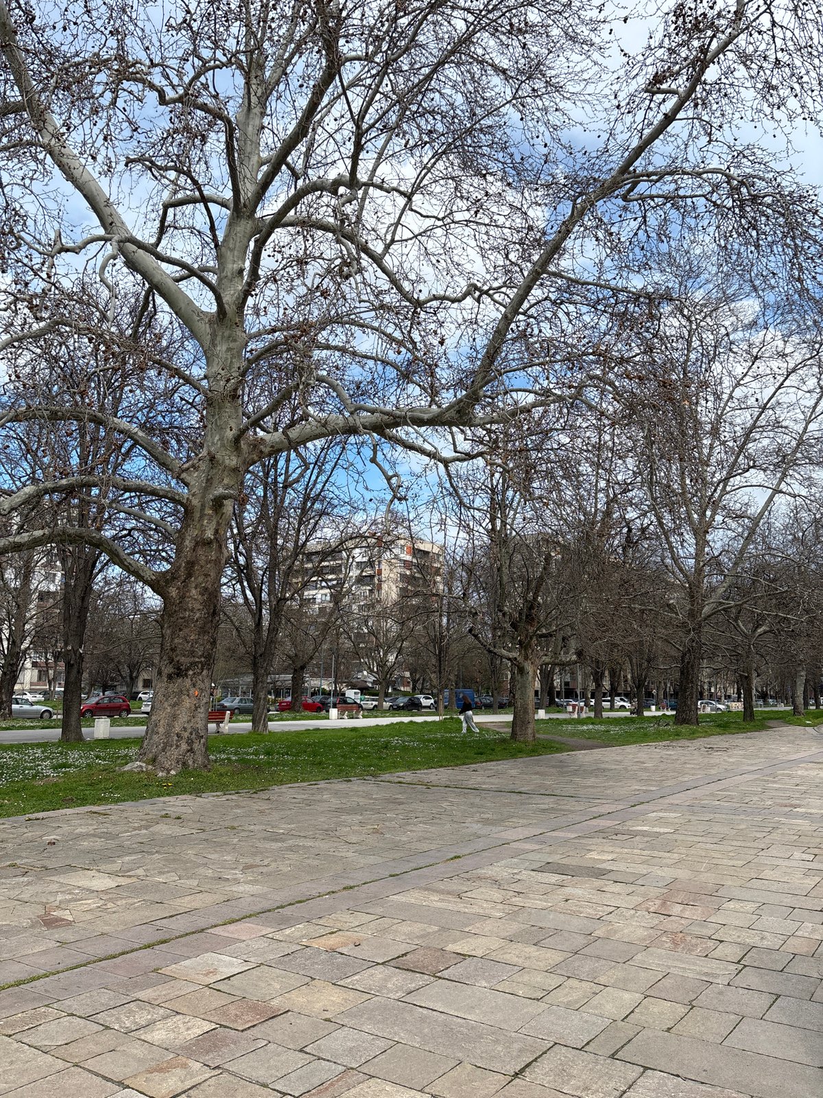 Baking and casual stroll documented in Plovdiv, Bulgaria