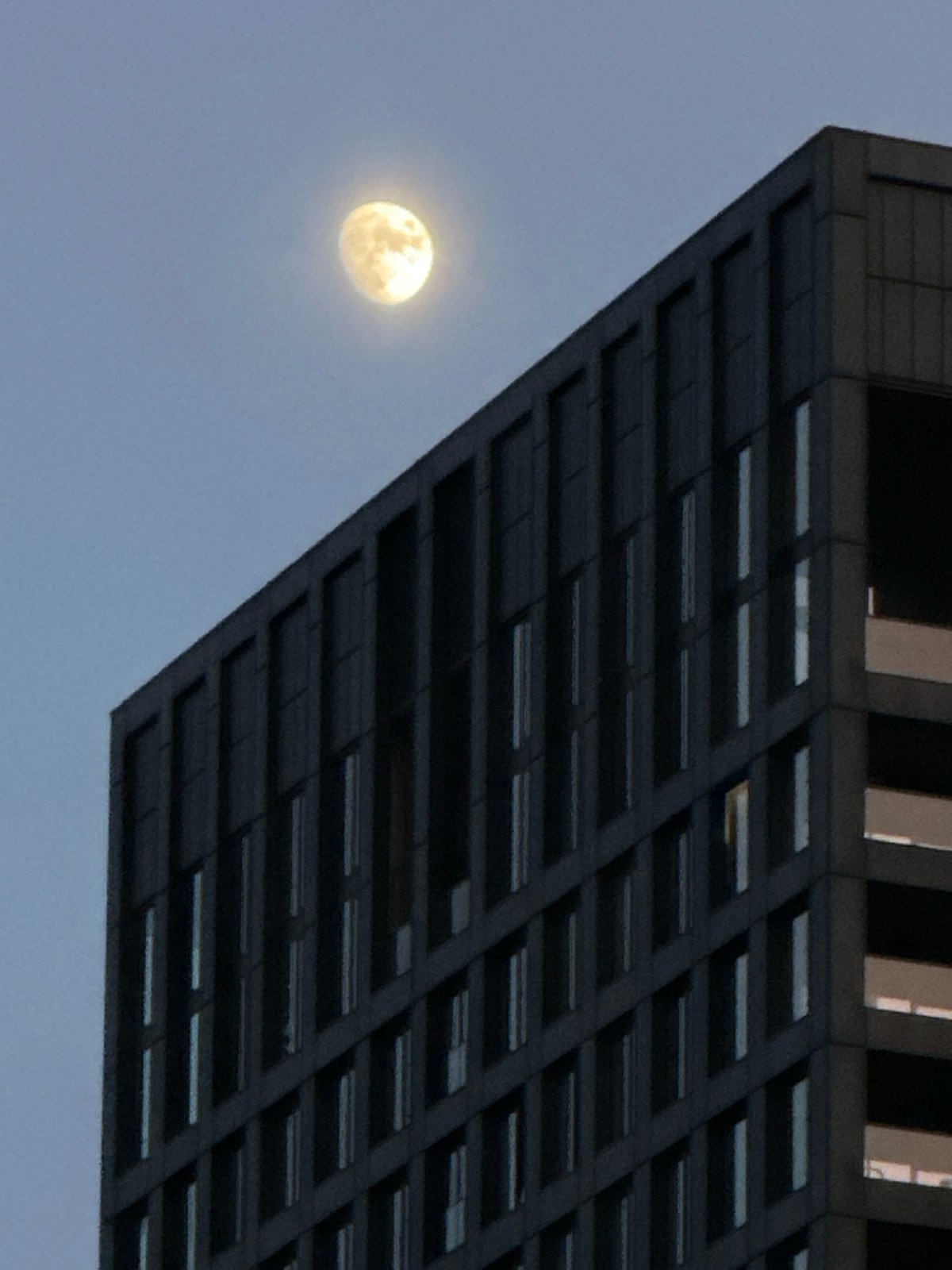 Full moon observed between modern buildings in Amsterdam