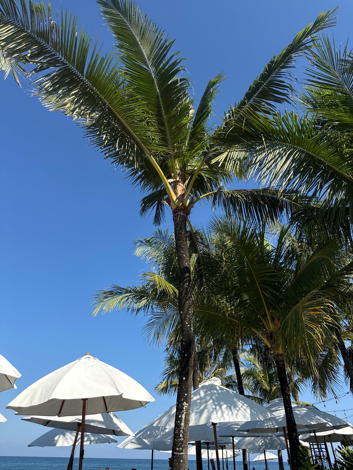 Tourist documents leisurely morning at Indonesian beach resort