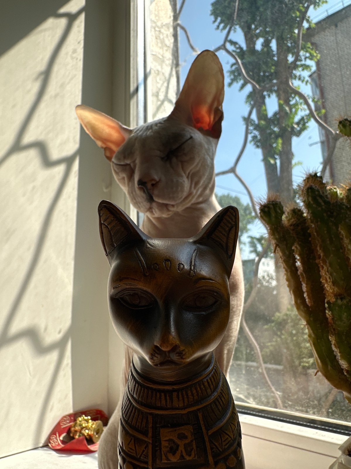 Sphynx cat lounges on a sunlit windowsill with Egyptian decor