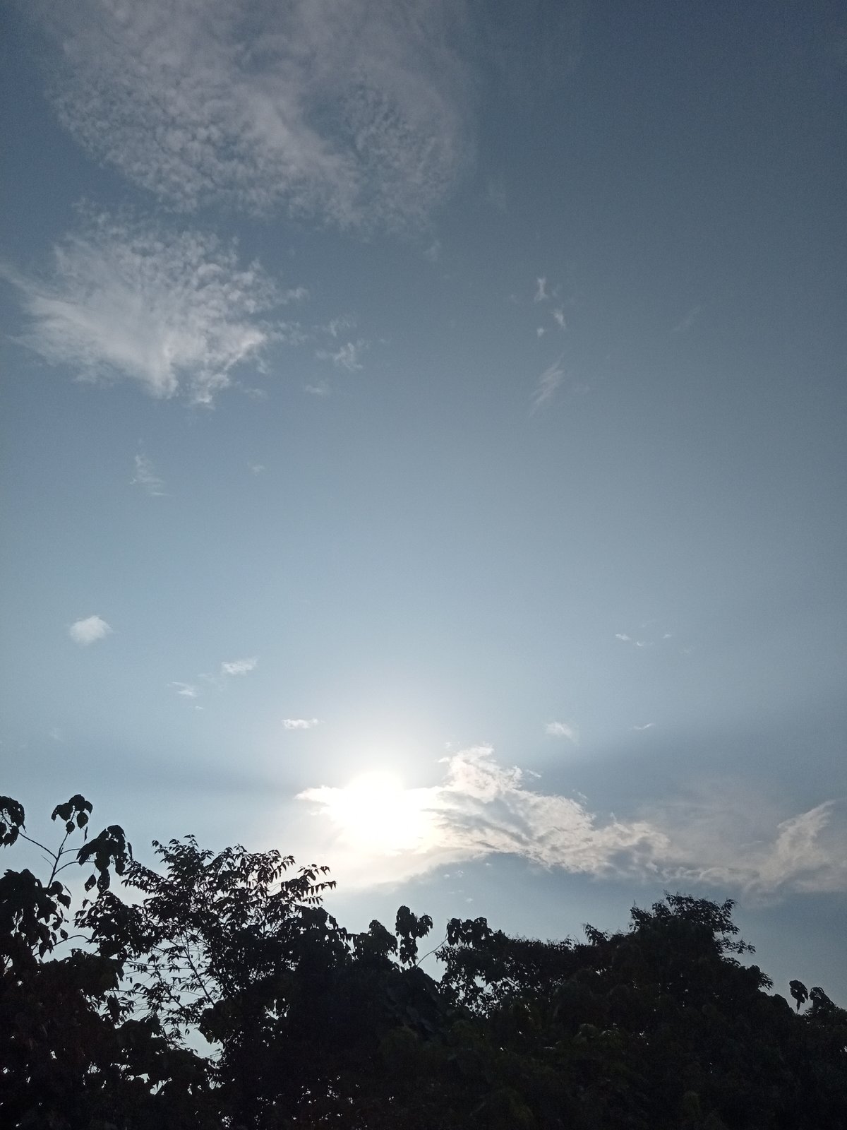 Morning light through palms and clouds in Teluk Kenidai