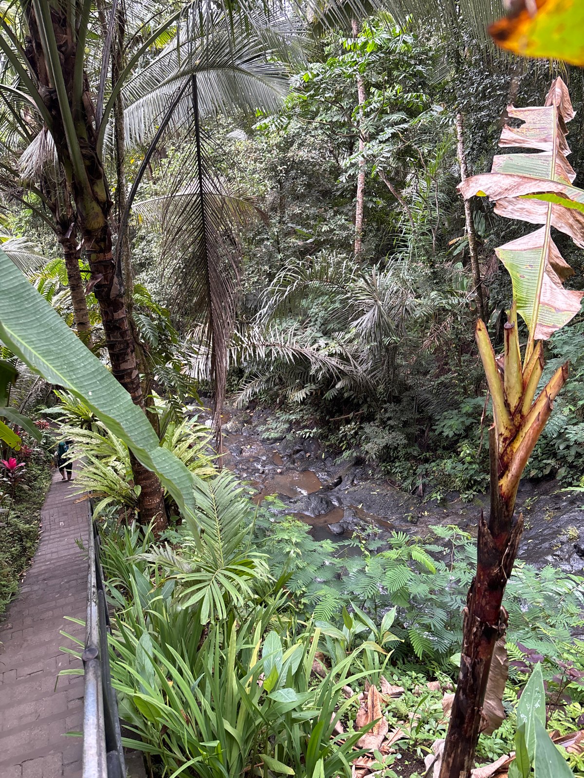 Exploring a jungle waterfall in Sidemen, Indonesia